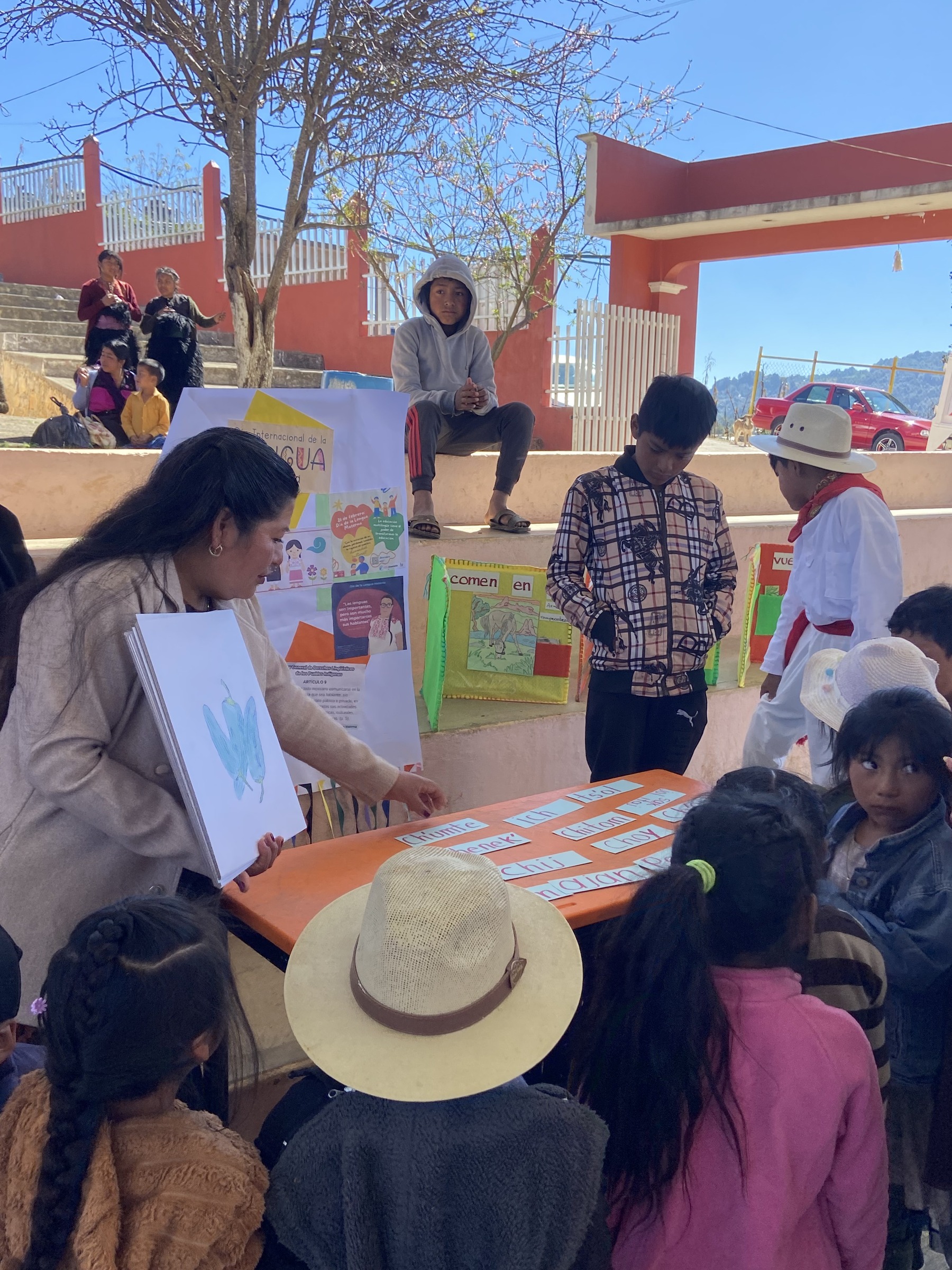 Grupo de personas participa en una actividad al aire libre con libros y materiales.